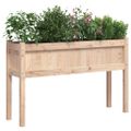 vidaXL Záhradný kvetináč s nohami 110x31x70 cm masívna borovica