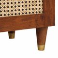 vidaXL Servírovacia skriňa Hnedá 40 x 33,5 x 75 cm Masívne mango drevo