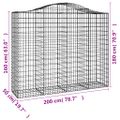 vidaXL Oblúkové gabiónové koše 10 ks 200x50x160/180 pozinkované železo