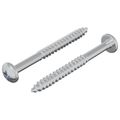 vidaXL Drevená skrutka 2 ks Strieborná 9,8 x 53 mm Oceľ