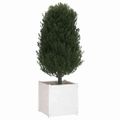 vidaXL Záhradné kvetináče 2 ks biele 60x60x60cm borovicový masív