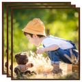 vidaXL Fotorámiky na stenu alebo stôl 3 ks bronzové 50x50 cm MDF
