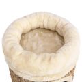 vidaXL Domček pre mačky s luxusným vankúšom 33 cm, morská tráva