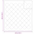 vidaXL Prikrývka s vankúšmi s vankúšom 3 ks Biela Mikrovlákno
