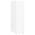vidaXL Mobilná kartotéka biela 28x41x109 cm kov