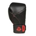 Boxerské rukavice DBX BUSHIDO B-2v15 12 oz