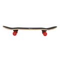 Skateboard NILS Extreme CR3108 SA Aztec