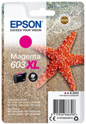 EPSON singlepack, Purpurová 603XL