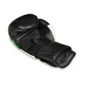 Boxerské rukavice DBX BUSHIDO B-2v6