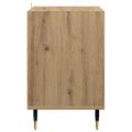 vidaXL TV skrinka 100 x 35 x 55 cm Remeselný dub Kompozitné drevo