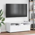 vidaXL TV skrinka „VISNES“ biela 100x40x38 cm, drevo