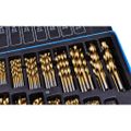 140170 vidaXL 170 Piece Titanium Drill Bit Set in Metal Box HSS TI