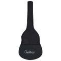 vidaXL Klasická gitara pre začiatočníkov s taškou modrá 3/4 36"
