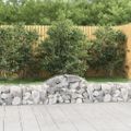vidaXL Oblúkový gabionový kôš 7 ks 200x30x40/60 cm pozinkované železo