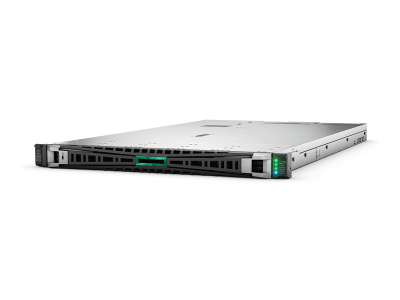 HPE DL360 G12 6505P, 64 GB, 2 x 2,4 GB SAS