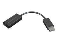 Video adaptér - DisplayPort so špendlíkmi (samec) do HDMI so zdierkami (samica) - 22.5 cm - čierna - podporuje 4K