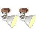vidaXL Industriálne nástenné / stropné lampy 2 ks strieborné 20x25 cm E27
