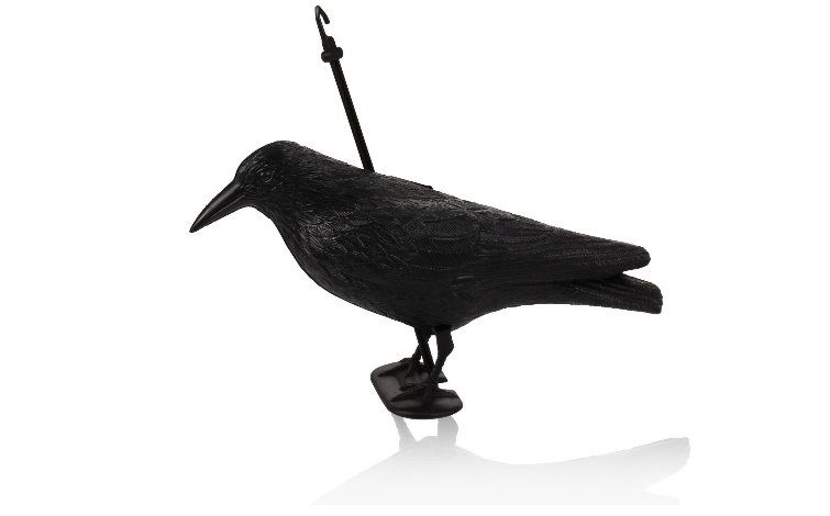 Havran plastová 3D maketa na plašenie vtákov RAVEN ISO 0783, 40cm Havran plastová 3D maketa na plašenie vtákov RAVEN ISO 0783, 40cm