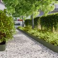 vidaXL Obrubník trávnika 10 ks 20 x 103 cm Olivovo zelená