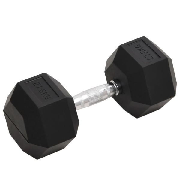 vidaXL Jednoručná činka 27,5 kg liatina