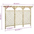 vidaXL Záhradný mriežkový plot s pergolou 300x50x200 cm impregnovaná borovica