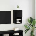 vidaXL Nástenný TV kabinet 30,5 x 30 x 60 cm Čierny dub