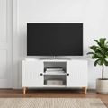 vidaXL TV skrinka Biela 102 x 34,5 x 50 cm Kompozitné drevo