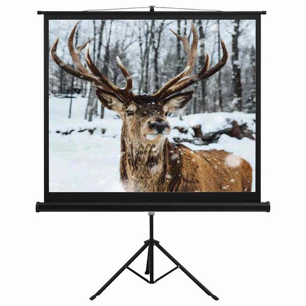 vidaXL Projekčné plátno so stojanom 60" 1:1