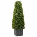 vidaXL Eukalyptová tráva veža Zelená 27 x 27 x 90 cm Plast