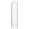 vidaXL Oblúkový gabionový kôš 100x50x200/220 cm pozinkované železo