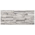vidaXL Nástenné panely 10 ks 100 x 25 cm Svetlosivá EPS pena