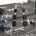 vidaXL Závažia na činku 6 ks 30 kg liatina