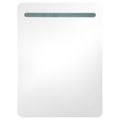vidaXL LED kúpeľňová zrkadlová skrinka biela a farba dubu 60x11x80 cm