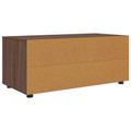vidaXL TV skrinka 100 x 48 x 43 cm Hnedý dub Kompozitné drevo