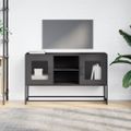vidaXL TV skrinka čierna 100,5x39x60,5 cm oceľ
