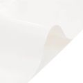 vidaXL Celta biela 6x8 m 650 g/m²