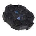 Elektronický boxerský terč HMS TB02 s LED, Bluetooht a rukavicami (Music Boxing Machine)
