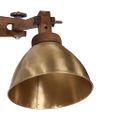 vidaXL Nástenné lampa 25 W starožitná mosadzná E27