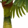 vidaXL Umelý palmový 9 listov 65 cm zelený