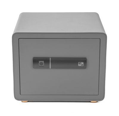 Trezor G21 na odtlačok prsta 380 x 310 x 300 mm