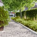 vidaXL Obrubník trávnika 50 ks 10 x 103 cm Biela