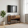 vidaXL TV skrinka 60 x 30 x 50 cm Staré drevo Kompozitné drevo