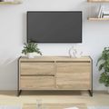 vidaXL TV skrinka 100 x 36 x 49.5 cm Sonoma Kompozitné drevo