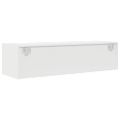 TV Skrinka vidaXL Biela 100x31x25,5 cm Konštrukčné drevo
