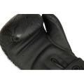 Boxerské rukavice DBX BUSHIDO B-2v18 10 oz