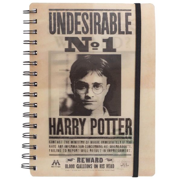 Zápisník Harry Potter - Sirius a Harry 3D