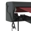 vidaXL Automaticky zaťahovacia markíza burgundská 350x250 cm