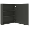 vidaXL LED kúpeľňová zrkadlová skrinka antracitová 50x14x60 cm