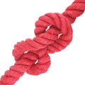 vidaXL Jutové lano 30 mm Červená 100% Tossa juta