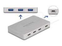 7 Port USB Hub s 4 x USB Type-C female